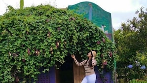 A person standing on stone steps in front of a building with a green vine-covered wall.