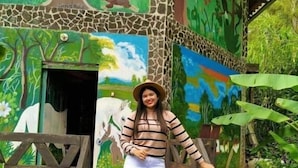 A person standing on a staircase with a mural of a tree, giraffe, and other wildlife.