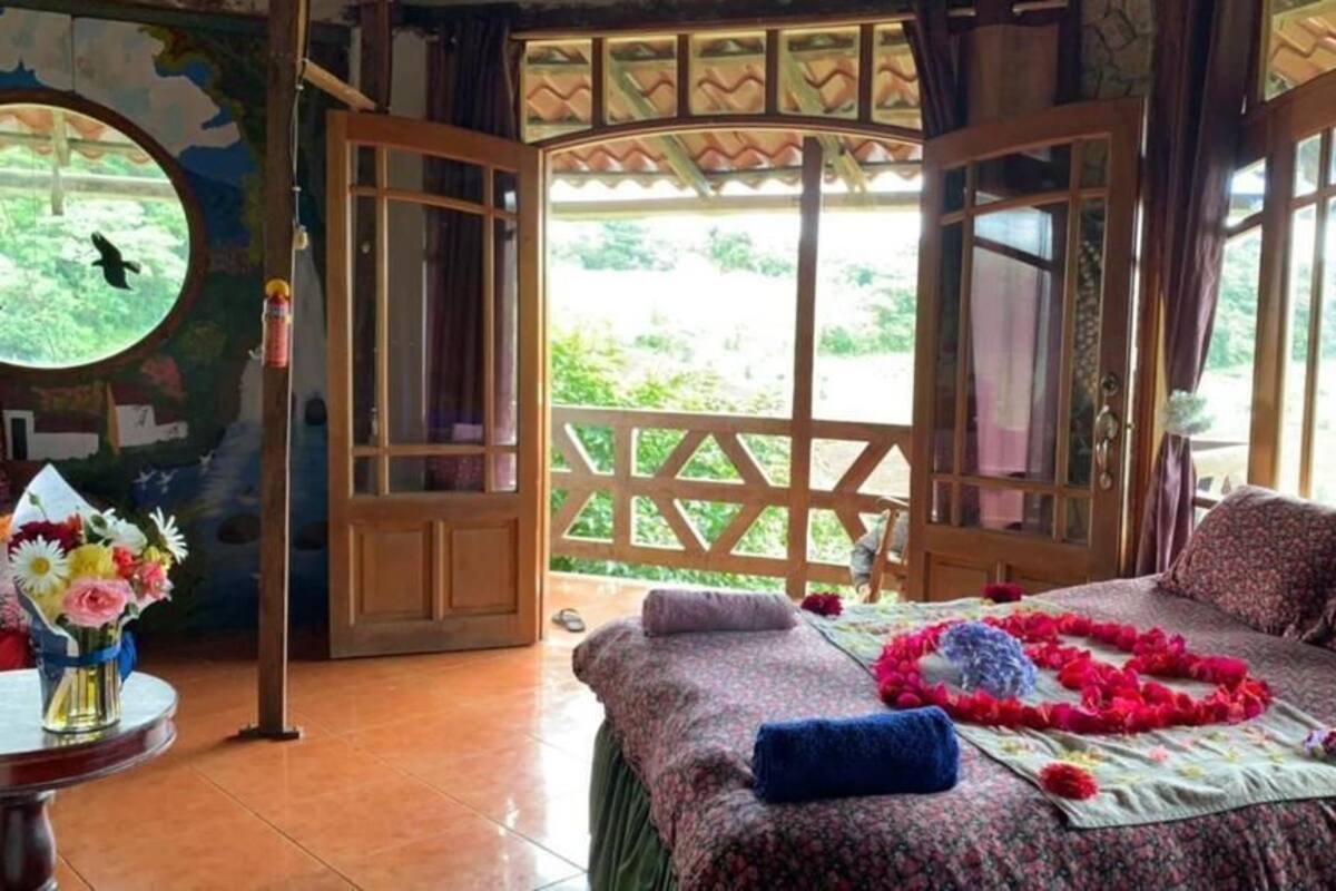 Une chambre avec un lit, une fenêtre et une vue sur la verdure.