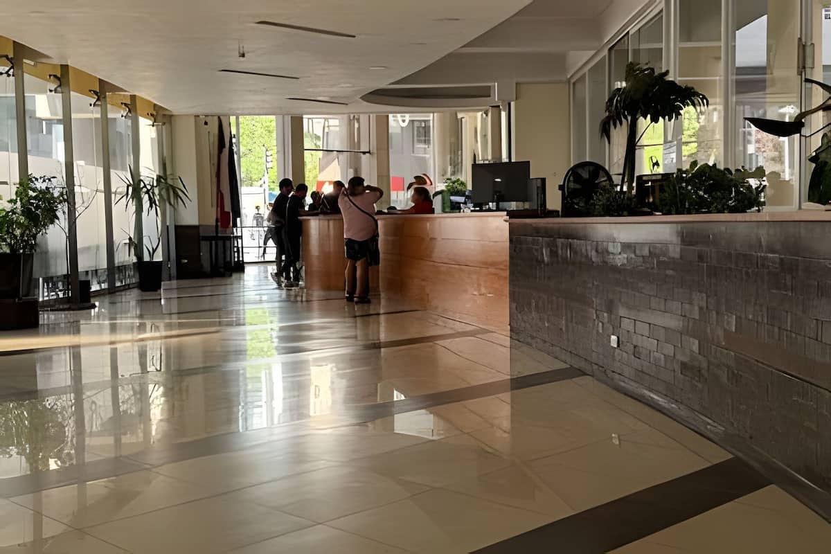 Un hall d’entrée spacieux, doté d’un comptoir de réception, de grandes fenêtres et de plantes en pot.