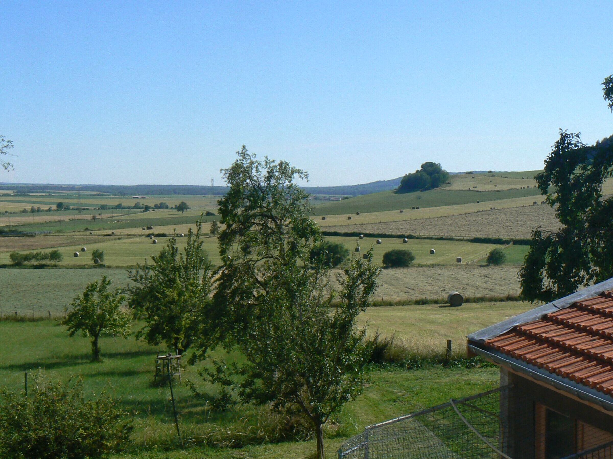 Un paysage rural caractérisé par des collines douces, des arbres dispersés et des bottes de foin.