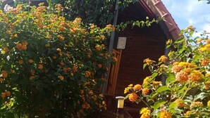 A rustic wooden building with a triangular roof, surrounded by flowering plants and a pink rose in the foreground. - Riviera bungalov apart (Demre)