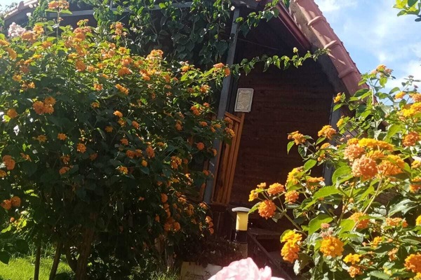 Comfort Bungalow, Garden View | Exterior detail
