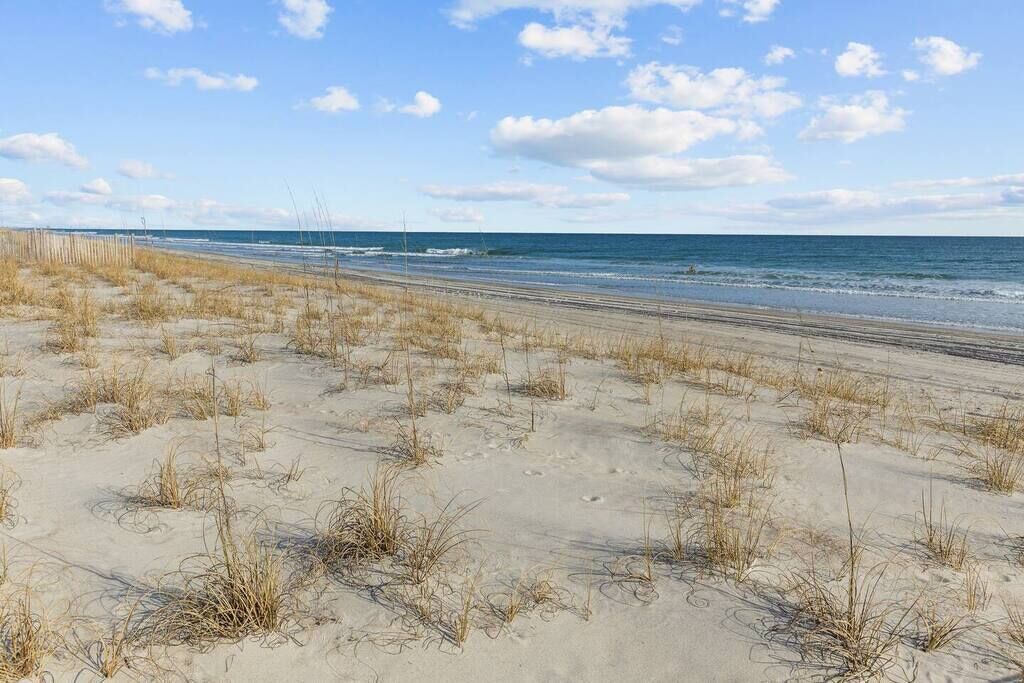 A beach with sand dunes and a clear sky.