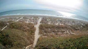 A beach with a sandy path leading to the ocean, surrounded by sparse vegetation.