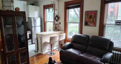 Cozy 1-bedroom apartment in charming Brooklyn with AC