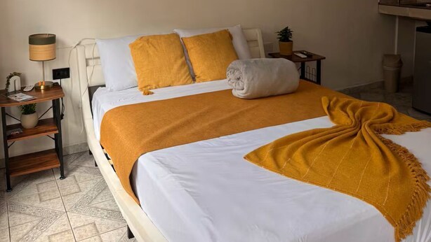 Habitación de hotel con cama, mesita de noche, lámpara, una pequeña mesa con una planta y aire acondicionado instalado en la pared.