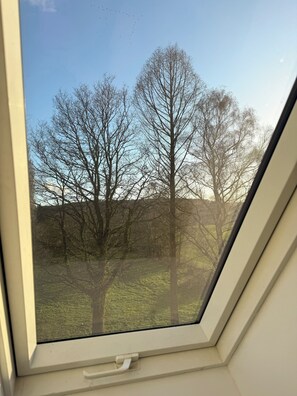 Interior - Spacious country house apartment (Bad Essen)