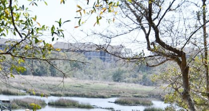 Waterfront Coastal Retreat | Atlantic Beach, NC | Near Beach & Boating