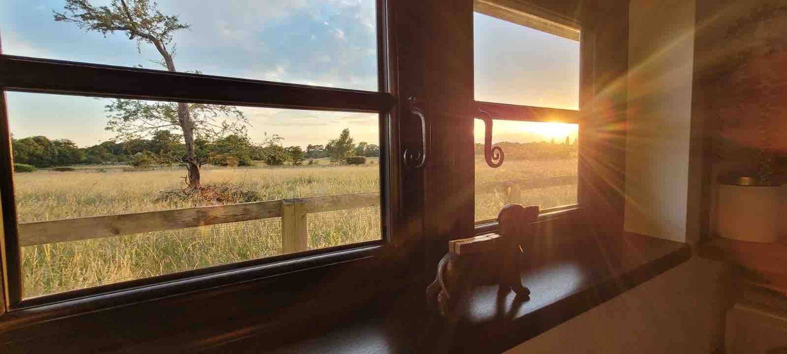 A room with a large window, a wooden bench, and a small dog figurine.