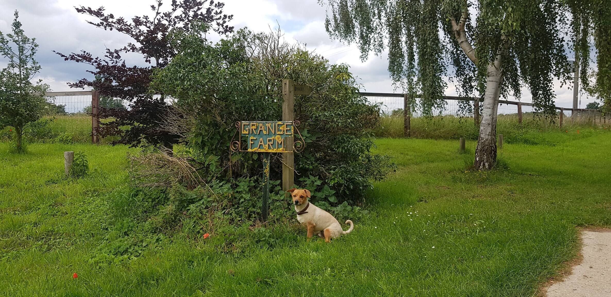 Entorno rural con un letrero que dice 'GRANGE FARM' y un perro en primer plano.