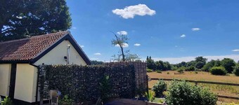 The Acorn - Roudham Norwich