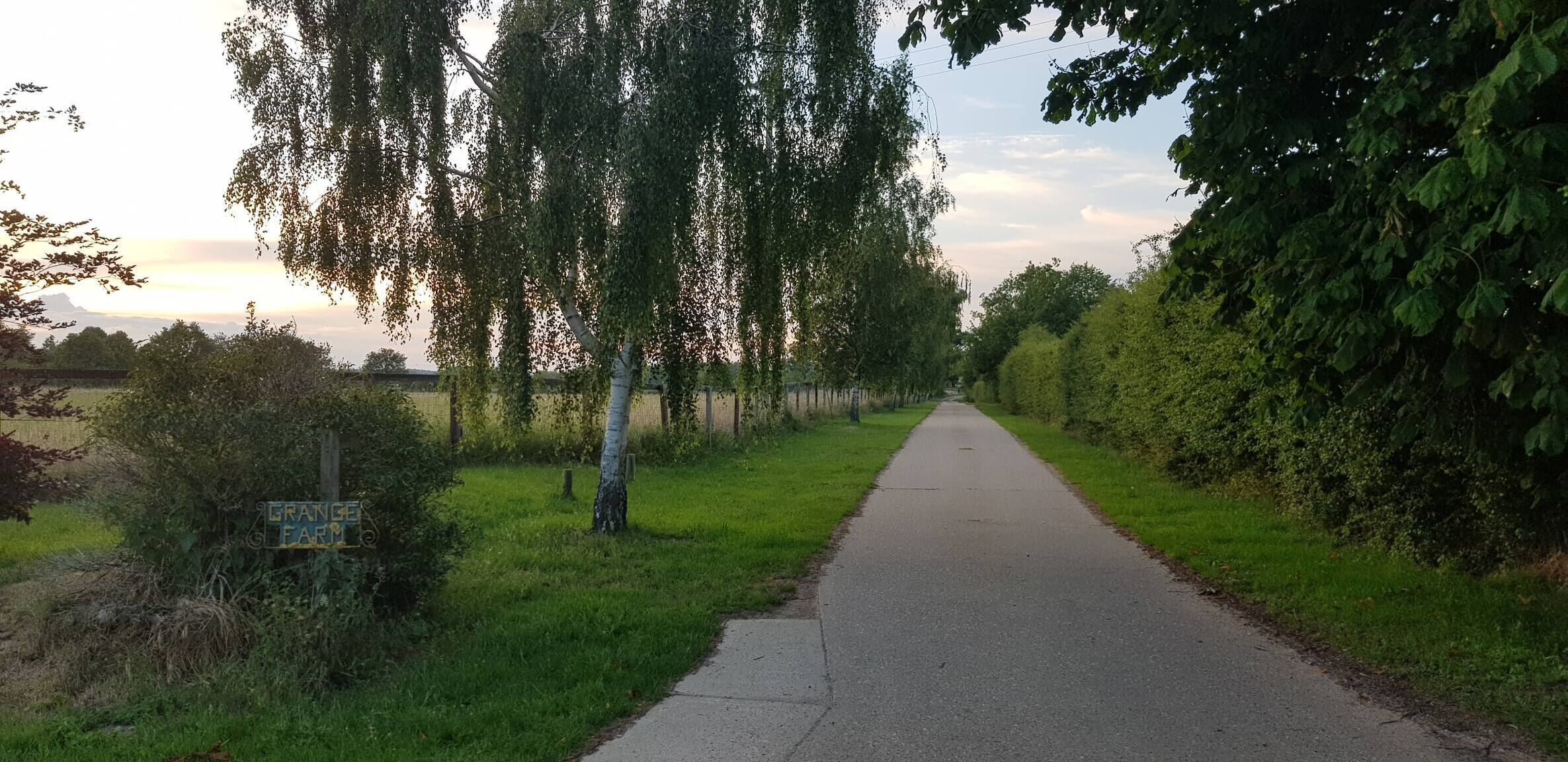Um caminho pavimentado, ladeado por árvores e vegetação, conduz a uma placa com a inscrição 'GRANGE FARM'.