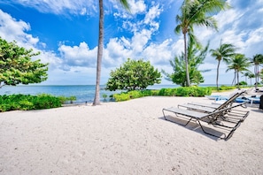 A beach with lounge chairs and palm trees. - Waterfront 2BR with private screened pool (Rum Point)