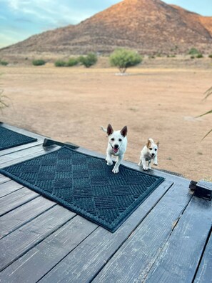 Property grounds - Solvalle-House with pool and jacuzzi (Valle de Guadalupe) (Vallecitos)