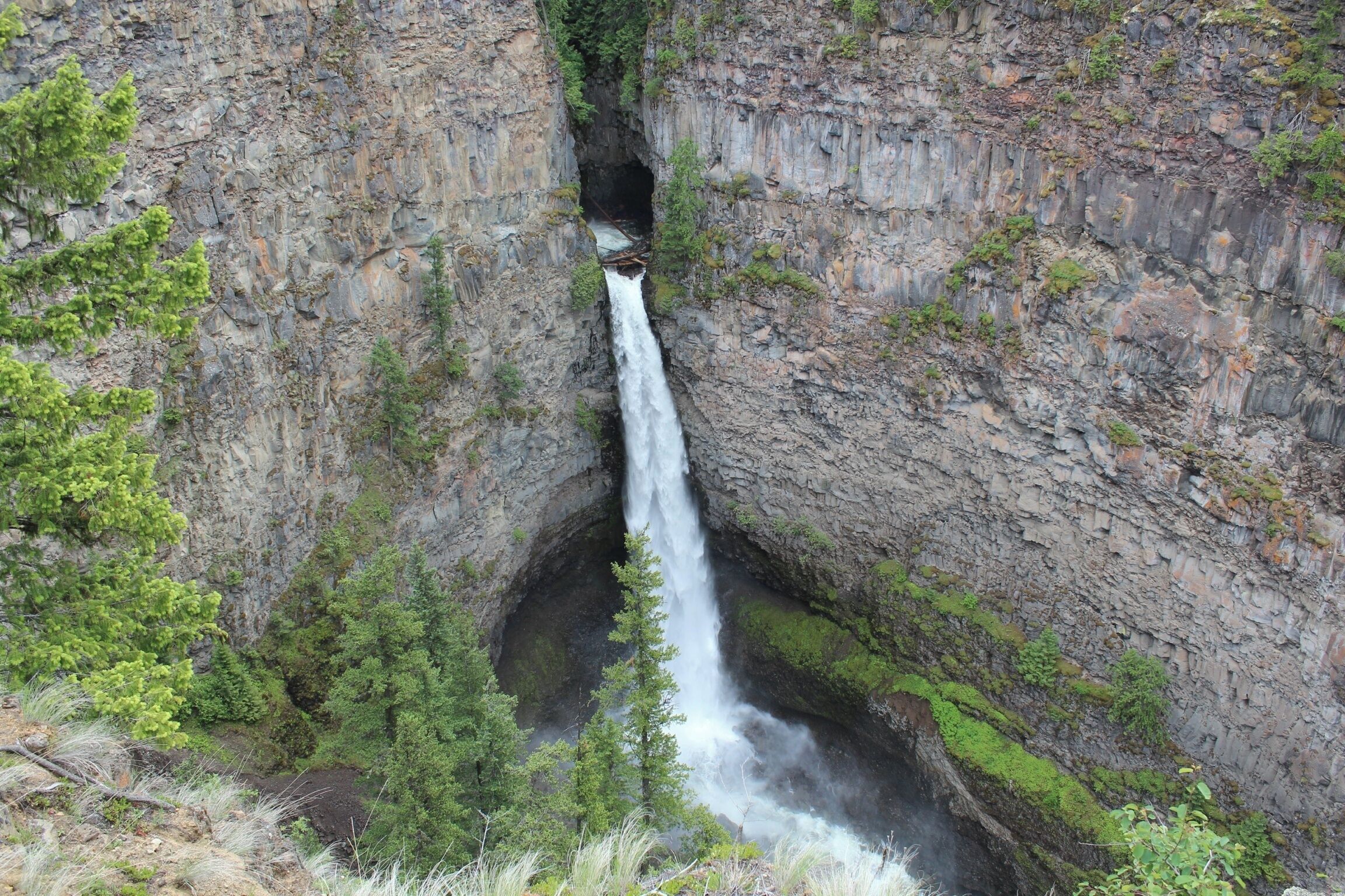 A waterfall cascading down a rocky cliff surrounded by greenery.