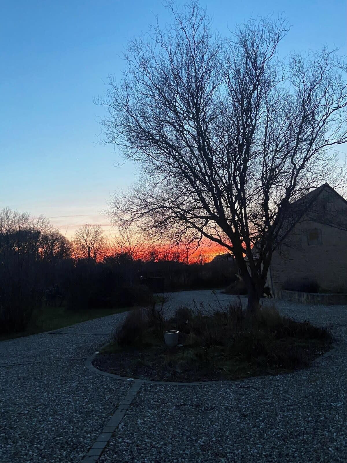 Enceinte de l’hébergement