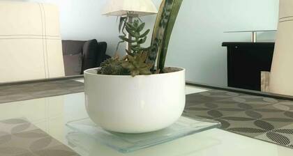 212 Bnb apartment in downtown with internet and garage