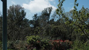 Une terrasse en bois agrémentée d’une pergola, d’un banc en pierre et d’un pot de fleurs.