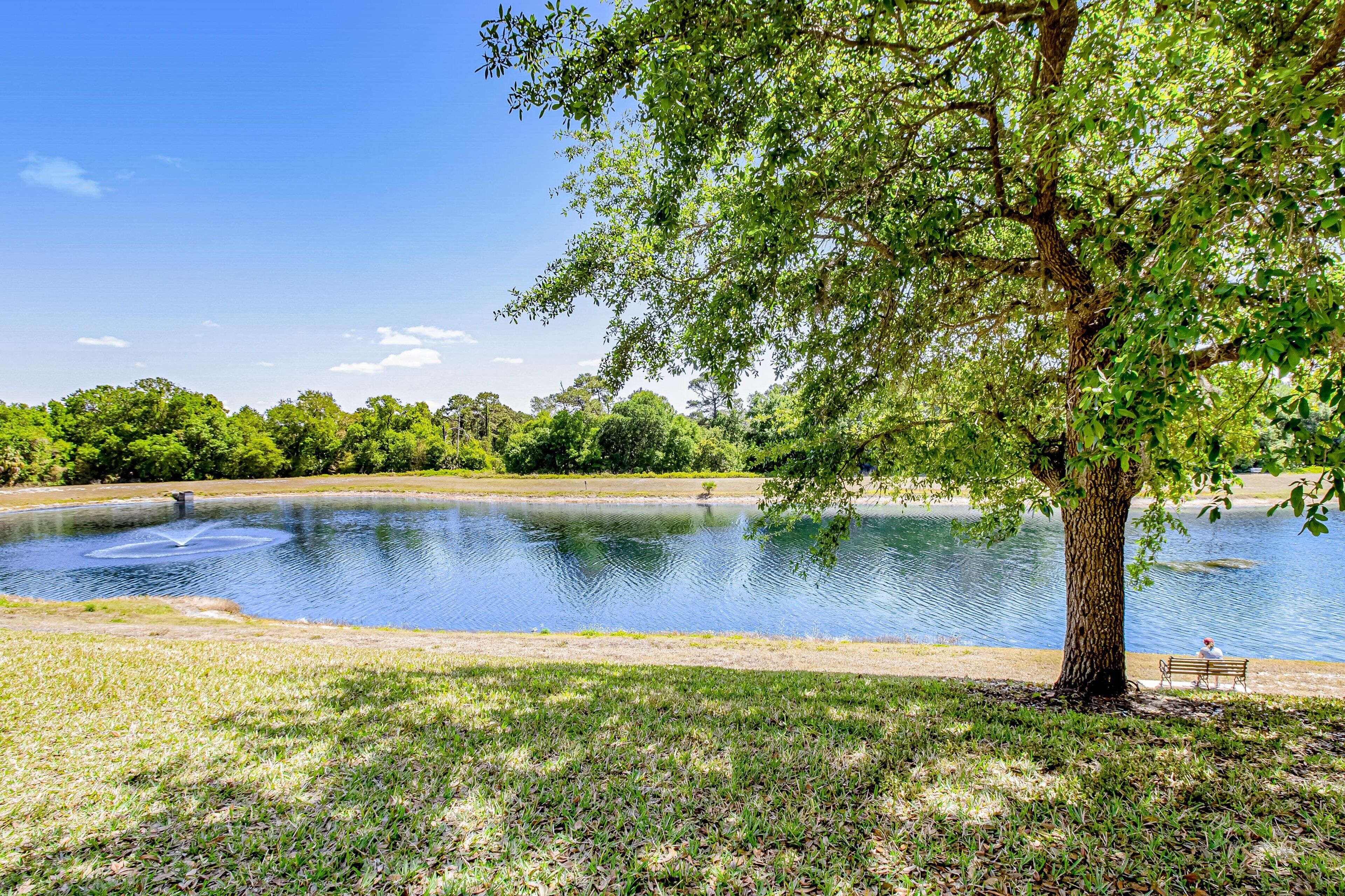 A park with a pond, a tree, and a bench.