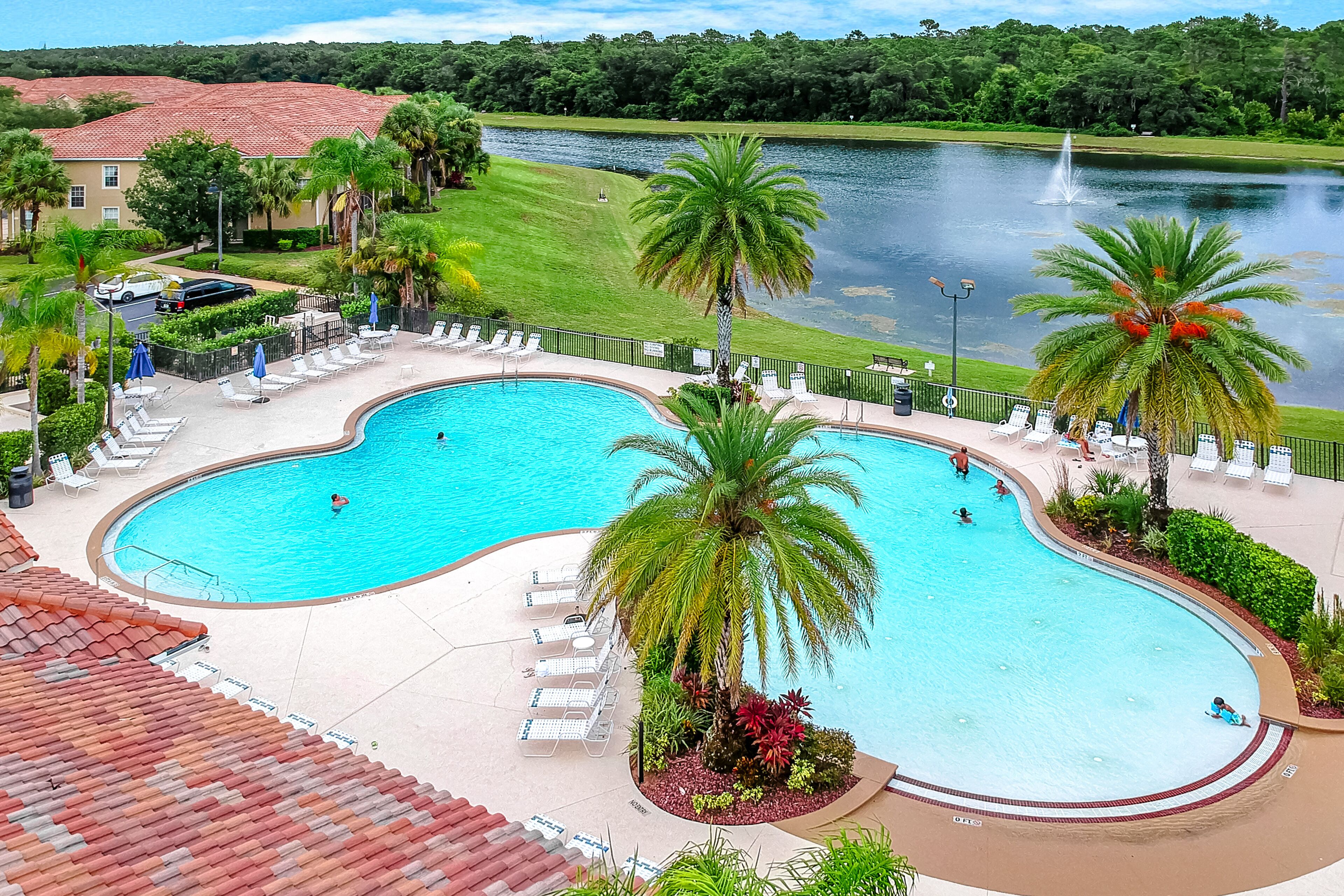 A large outdoor swimming pool with multiple lanes, surrounded by palm trees and lounge chairs, with a view of a lake and a building with a red roof in the background.
