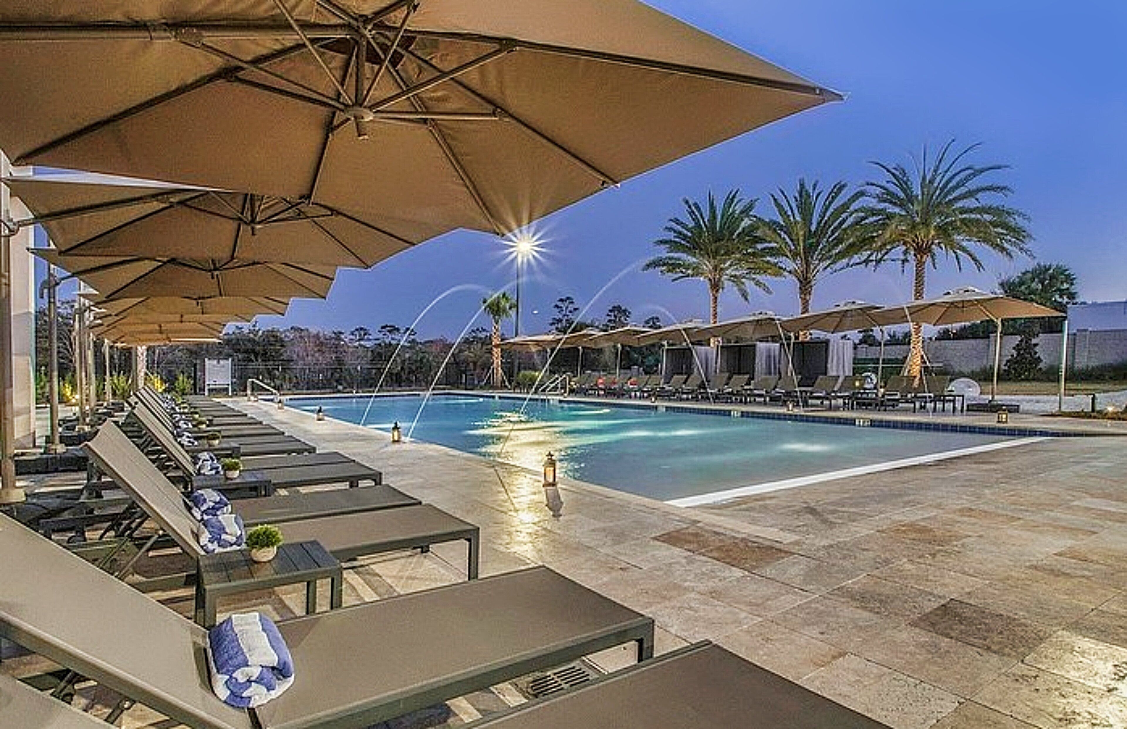 Un espace aménagé au bord de la piscine, avec des chaises longues et des parasols, une piscine, et des palmiers en arrière-plan.