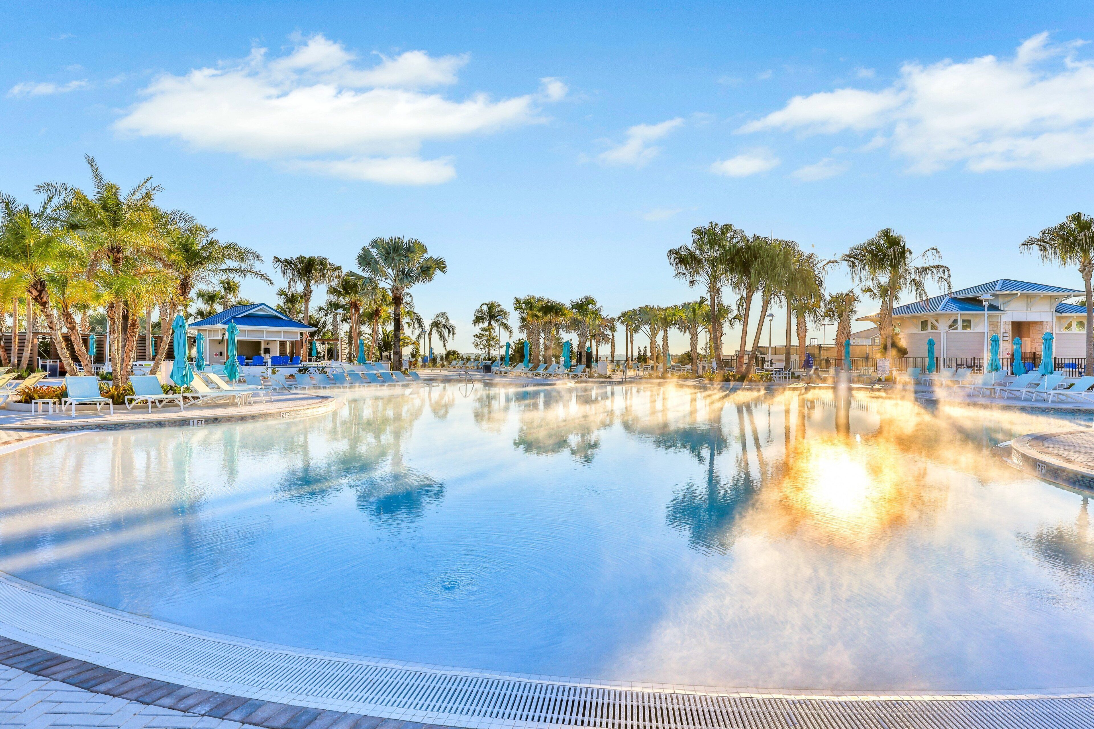 A swimming pool with lounge chairs and palm trees.