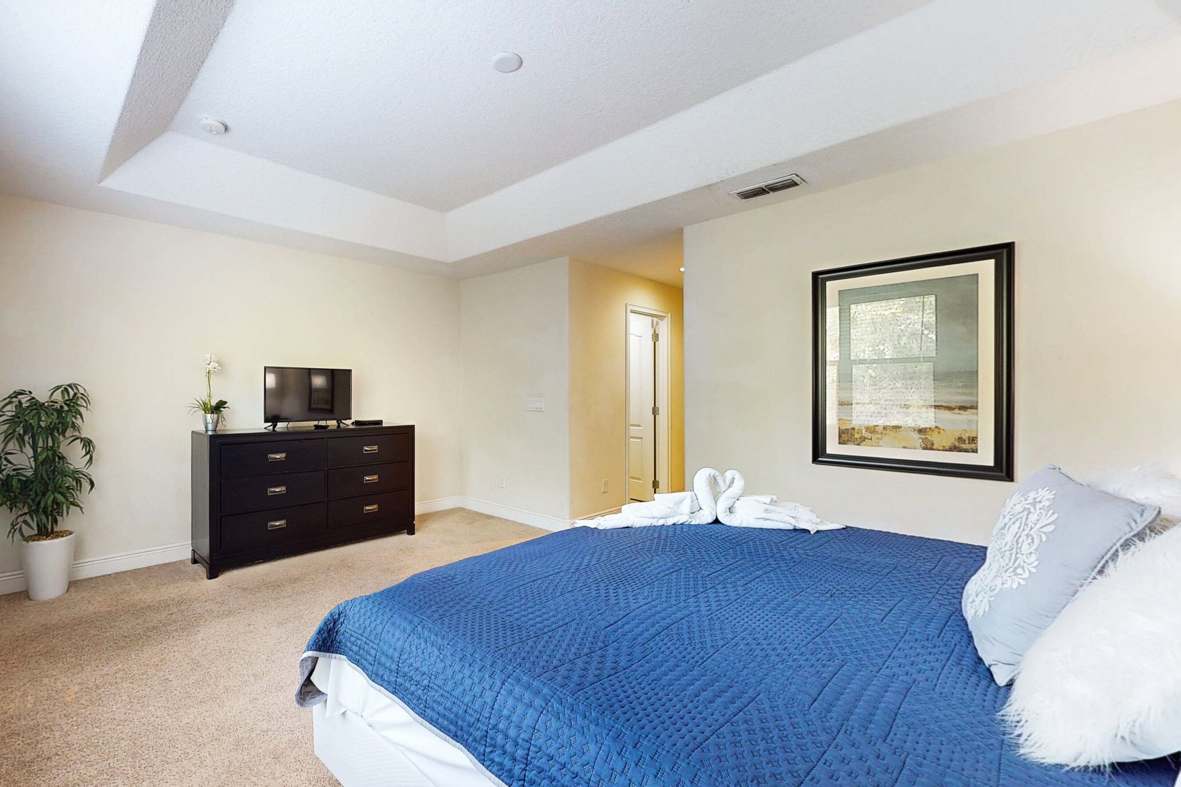 A bedroom with a bed, a dresser, a television, a framed picture, and a door leading to another room.
