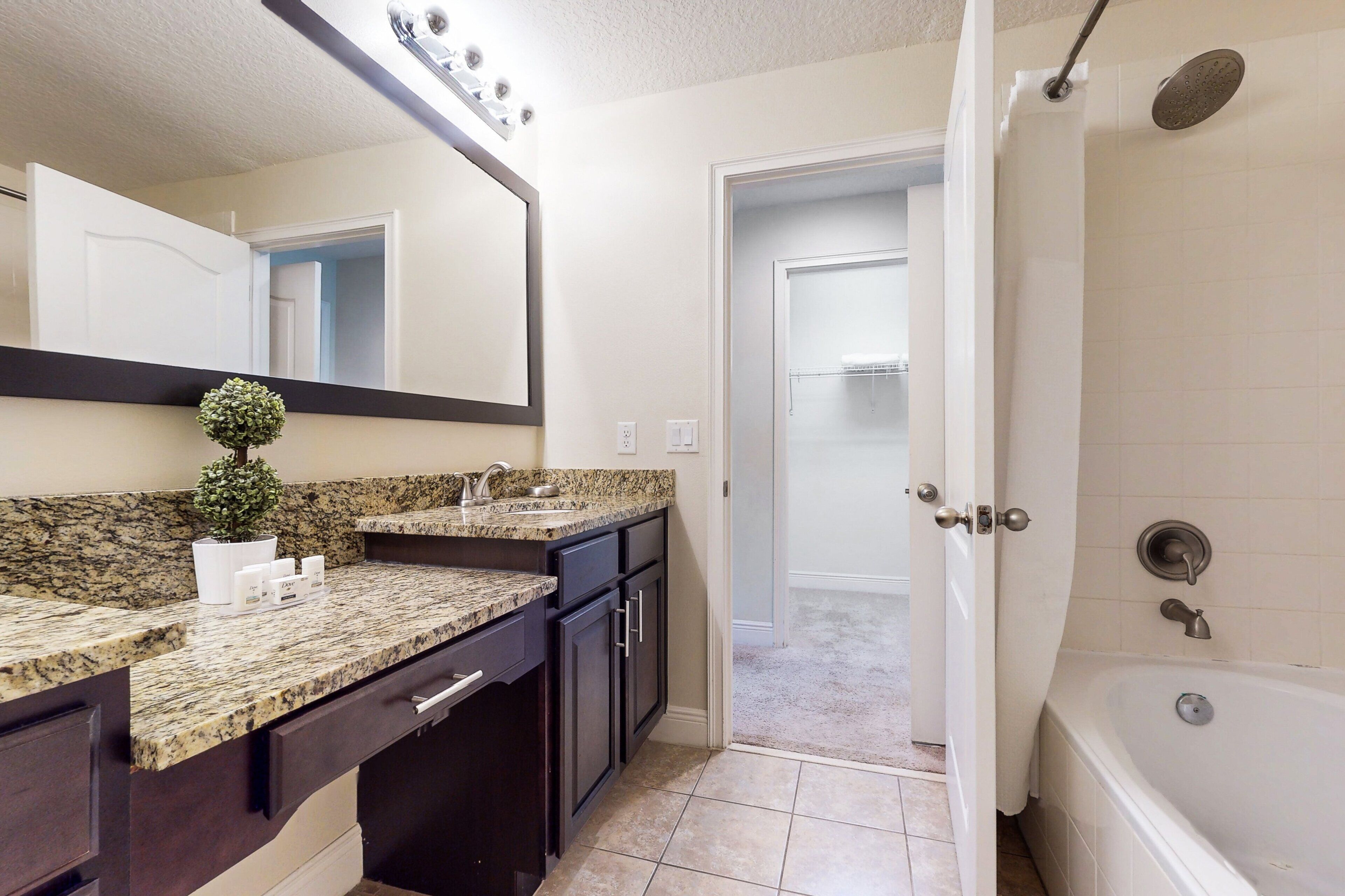 A bathroom with a sink, mirror, cabinet, shower, and a small potted plant.