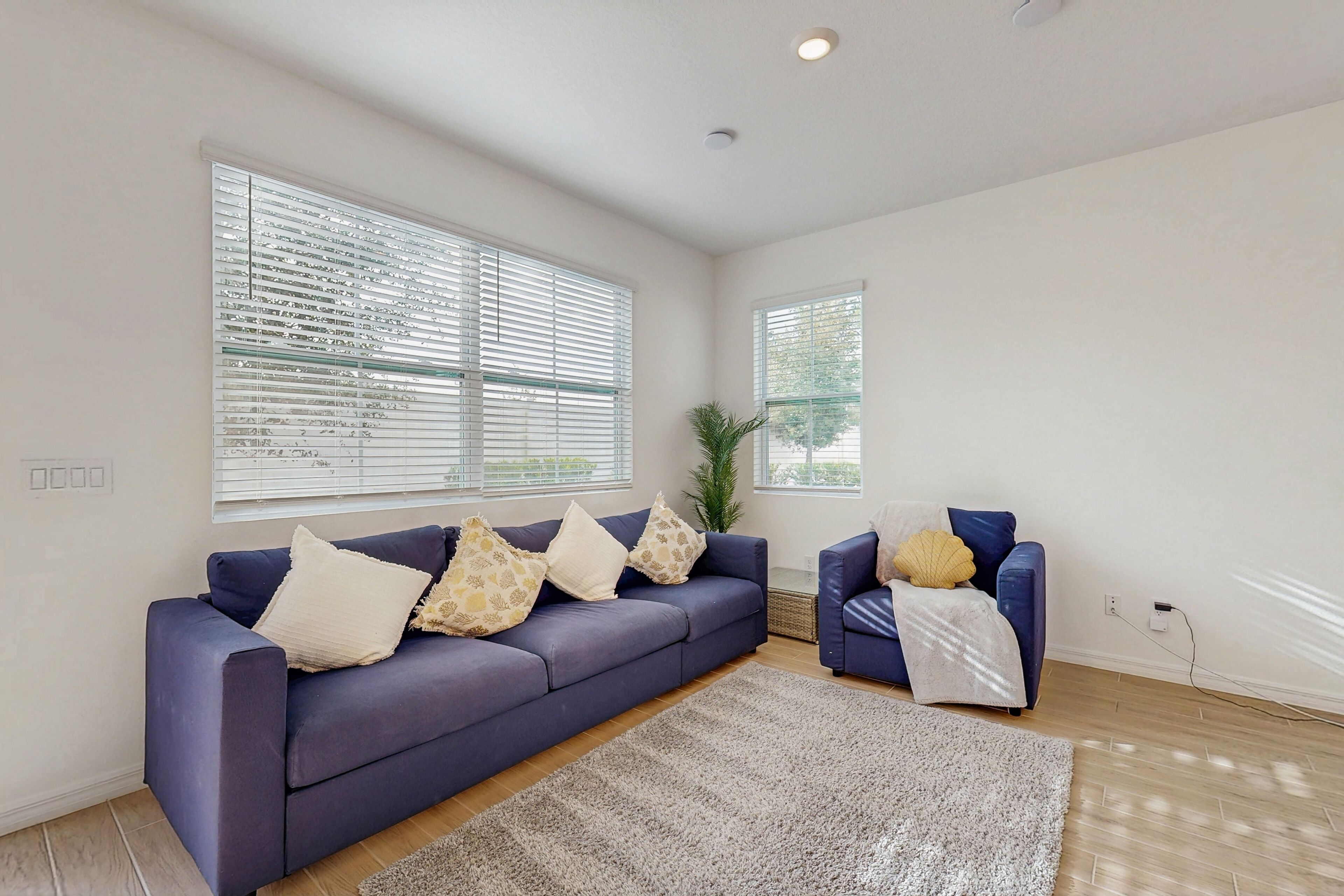 A living room with a dark blue sofa, a light-colored rug, and two windows with blinds.