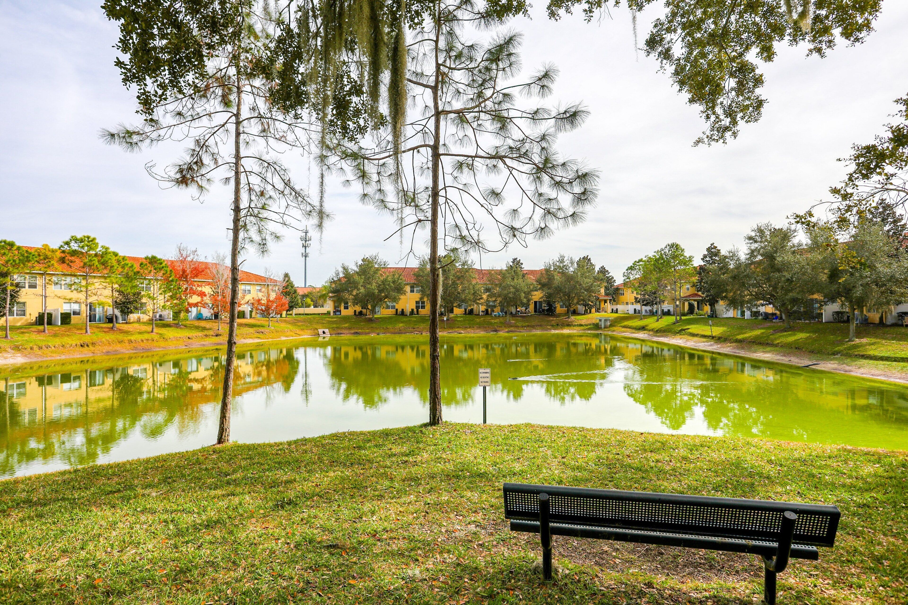 A park with a pond, a bench, and buildings in the background.