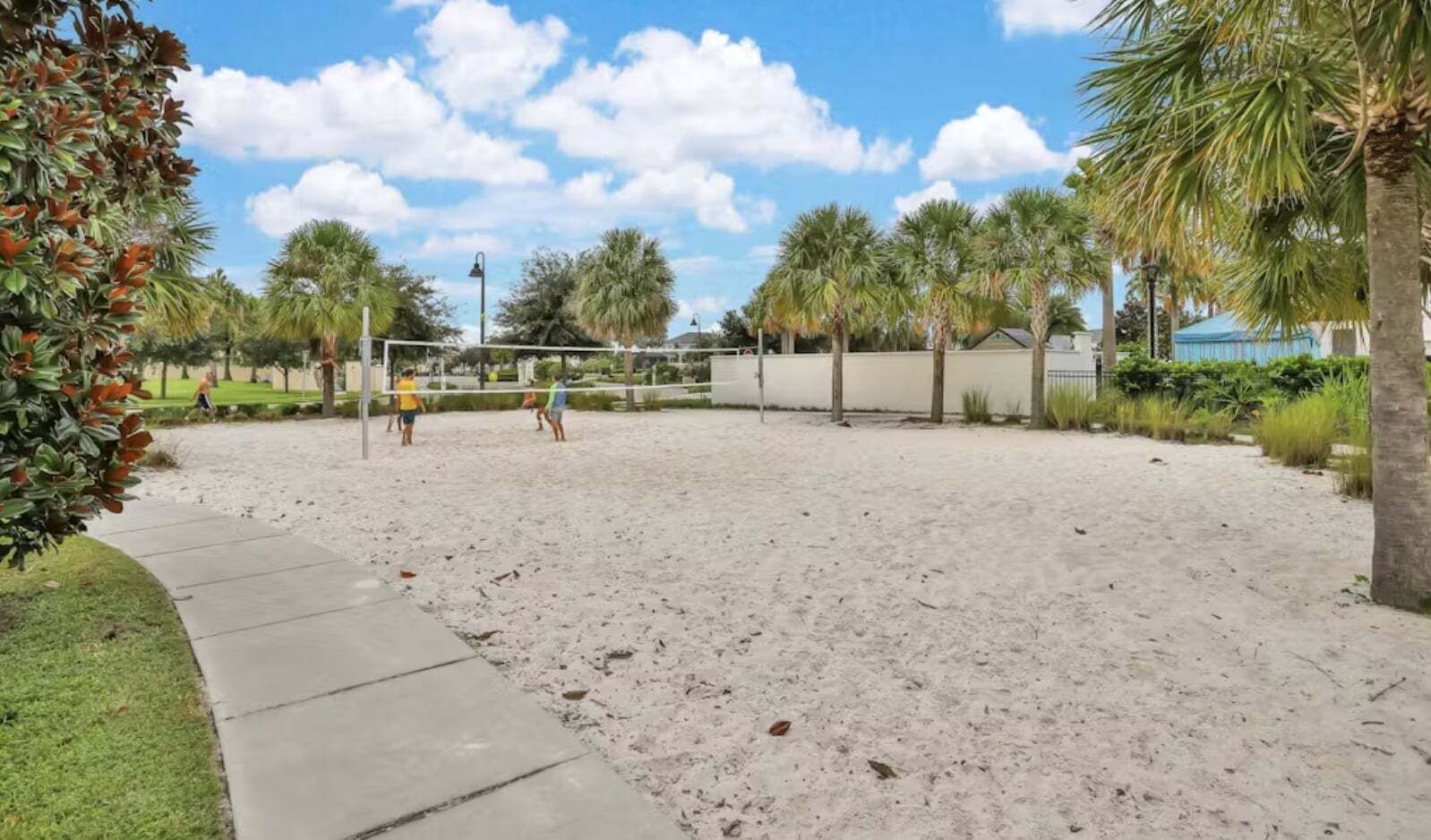 Volta de platja de sorra amb palmeres i un cel serè.