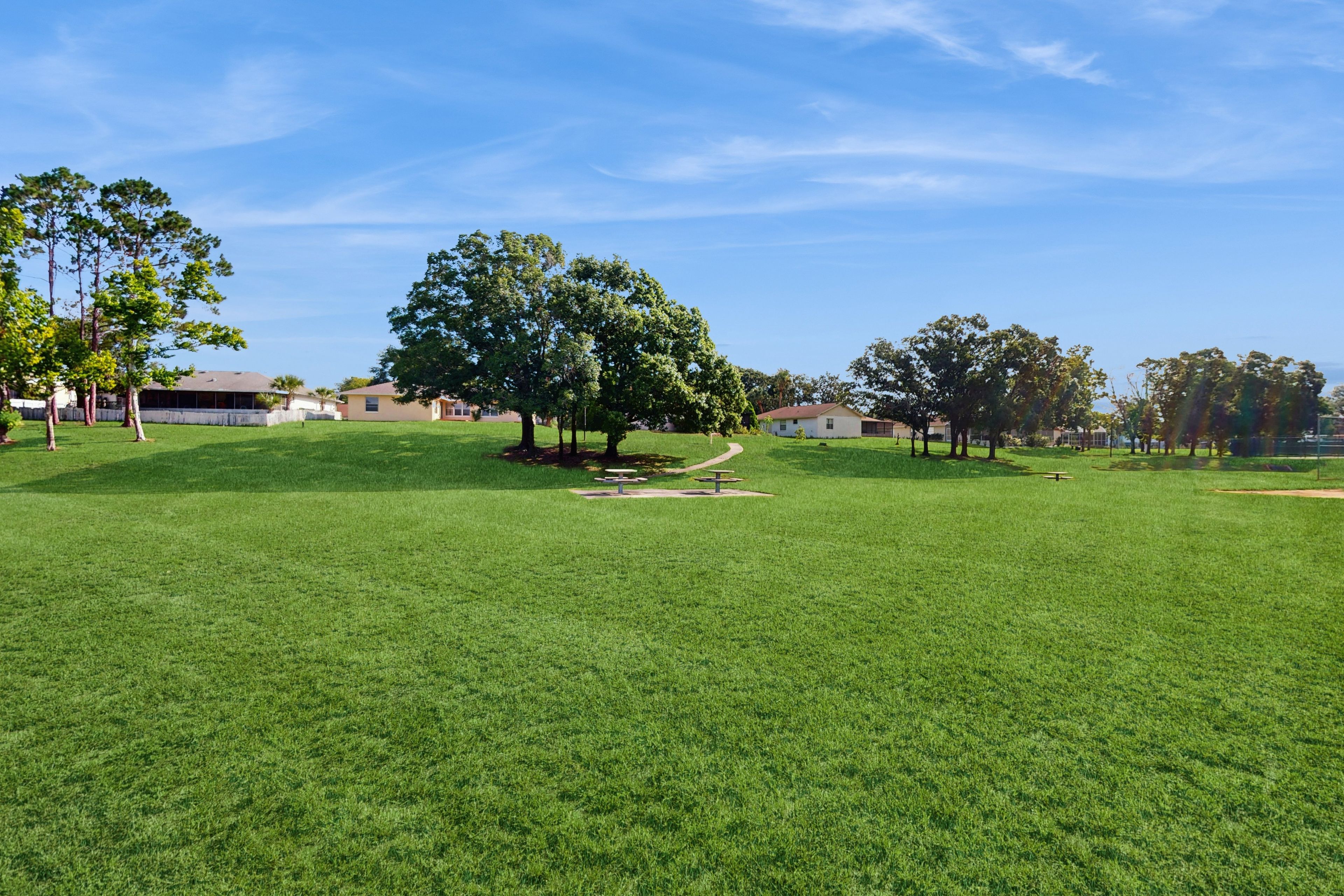 Um campo gramado com uma mesa de piquenique e bancos, cercado por árvores e casas.