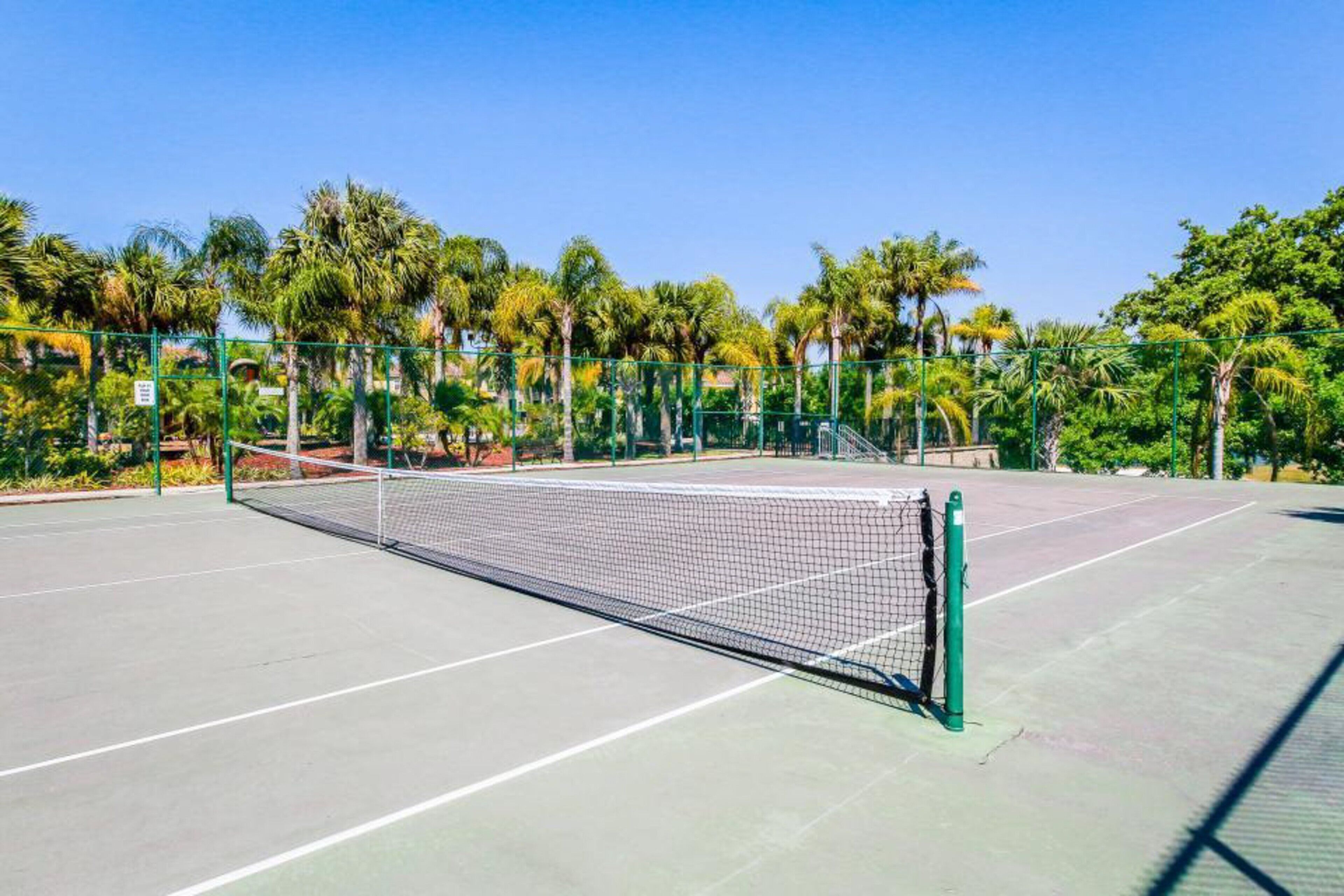 A tennis court with a net, surrounded by palm trees and a clear sky.
