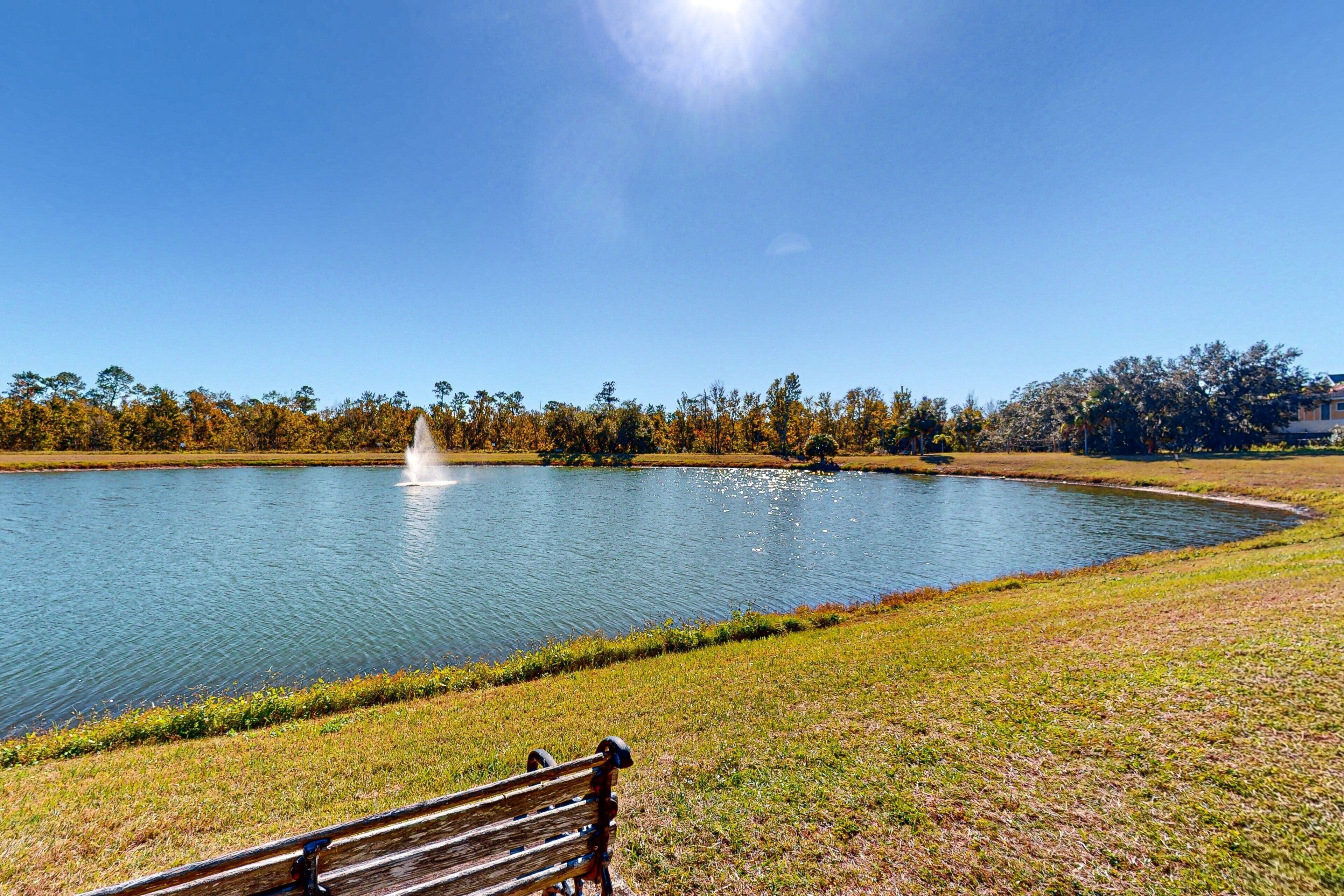 A lake with a fountain, a bench, and trees in the background.