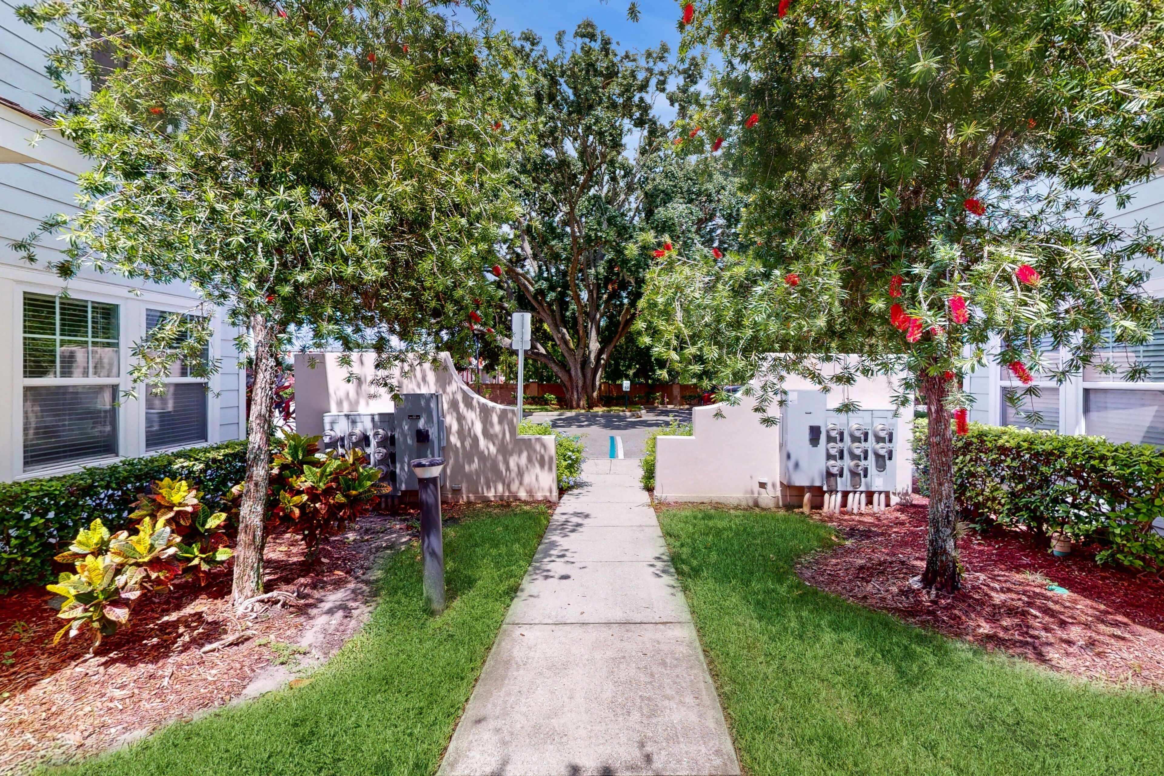 A pathway leading to a building with a covered walkway and a large tree with red flowers.