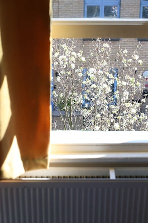Interior - comfortable stay featuring a fully equipped kitchen. (London)