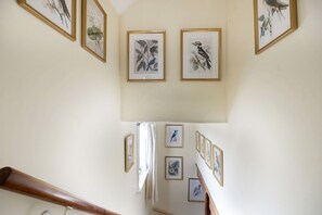 En trappe med indrammede botaniske illustrationer på væggene.