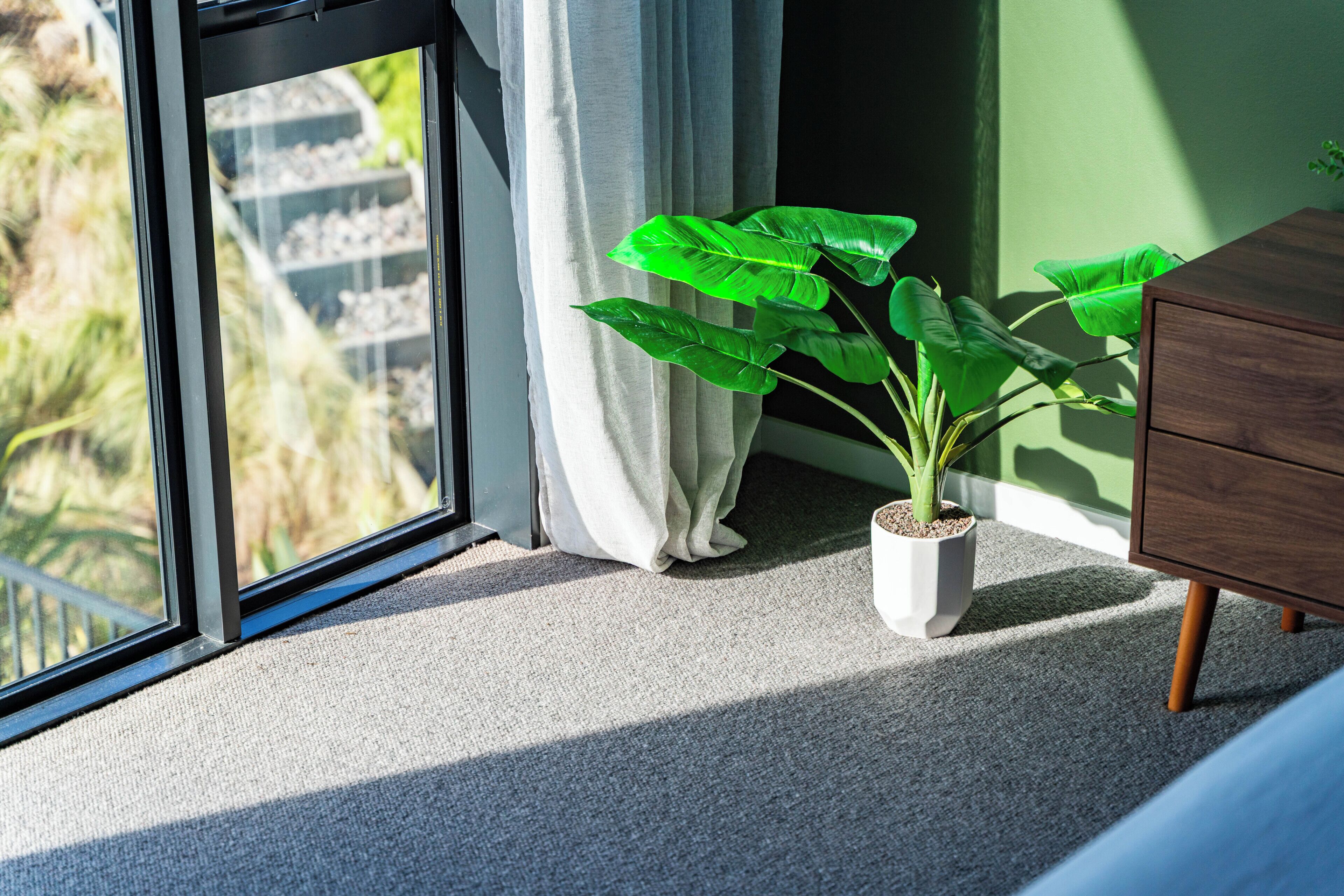 Une pièce dotée d’une grande fenêtre, d’une plante en pot, d’une commode en bois et d’un sol recouvert d’une moquette.