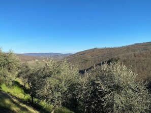 Miscellaneous - ANCIENT HOUSE OF NEL CHIANTI FOR 10 PEOPLE (Toscana)
