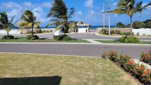 A road leading to a building with a palm tree-lined entrance, a clear sky, and a view of the ocean. - Sunshine Seashore Escape Jamaica (Lucea)