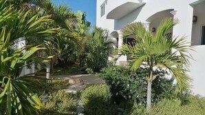 A white building with a garden area featuring palm trees and shrubs.