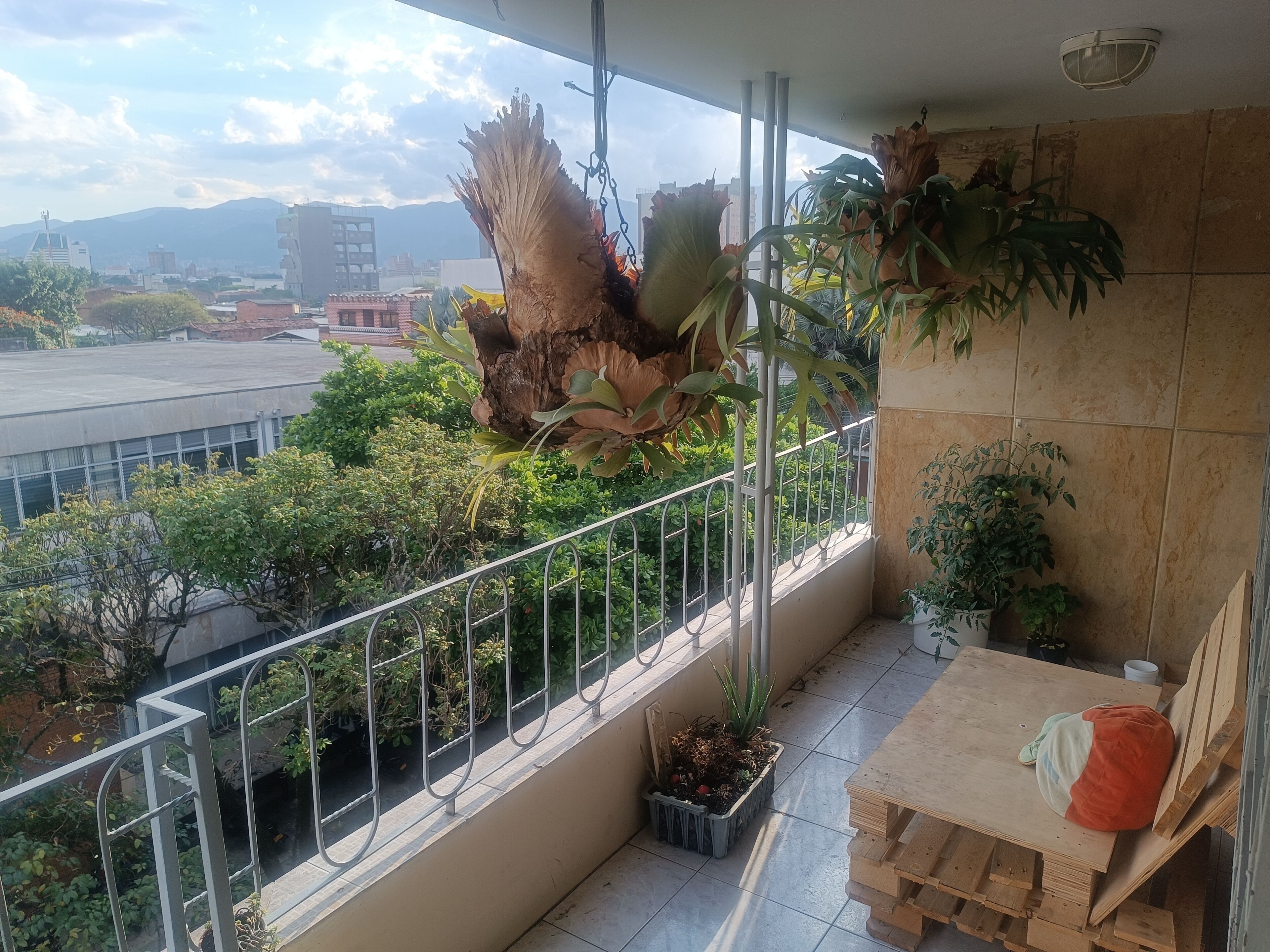 Overnatningsstedets område