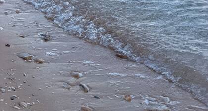 5 min walk to beach, relax on balcony loungers in split kastel stafilic