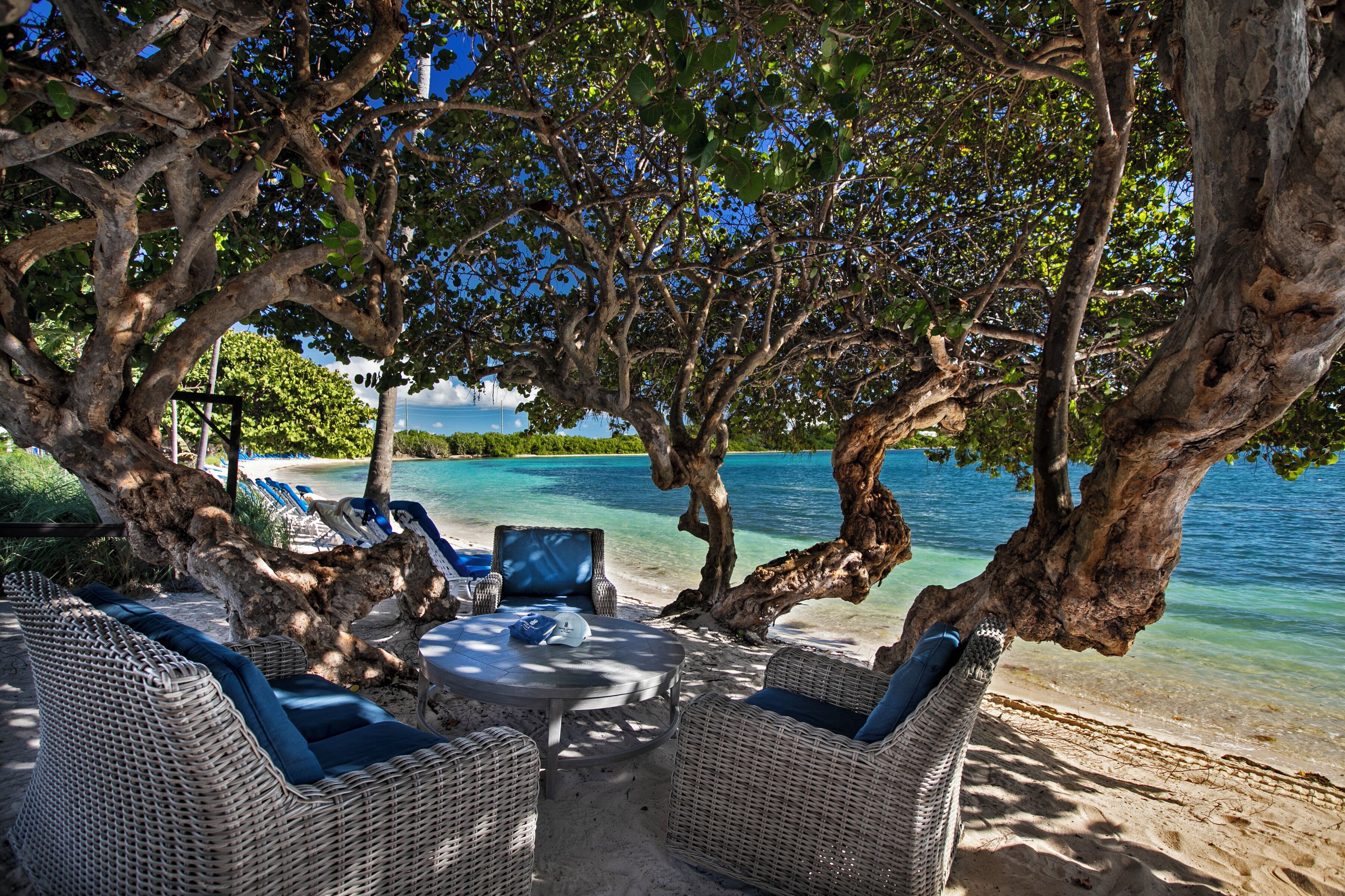 Plage, chaises longues, serviettes de plage