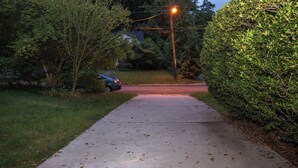 A residential driveway leading to a house, surrounded by trees and a hedge. - Private Basement Suite Near Metro, See the Best of Silver Spring (Silver Spring)