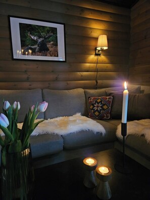 Living area - Secluded Cabin - Stunning Views - Agder, Norway (Agder)