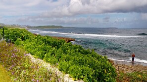 A coastal landscape with greenery and a rocky shoreline. - Vaguelis - Beachfront Villa in Le Moule (Aquawaves) (Le Moule)