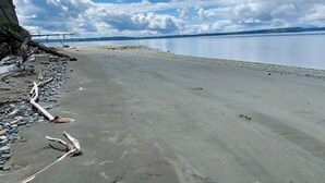 A beach with pebbles and driftwood, calm water, and a cloudy sky. - NEW LISTING-Mutiny Bay Ebb Tide Cabin AMAZING SUNSETS, EAGLES GALORE SANDY BEACH (Freeland)