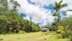 Une maison entourée d’une végétation luxuriante, sous un ciel dégagé.